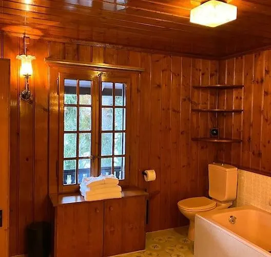 Chalet St-francois Ollon