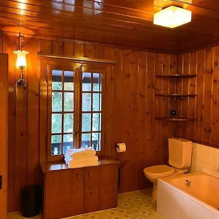 Chalet St-francois Ollon